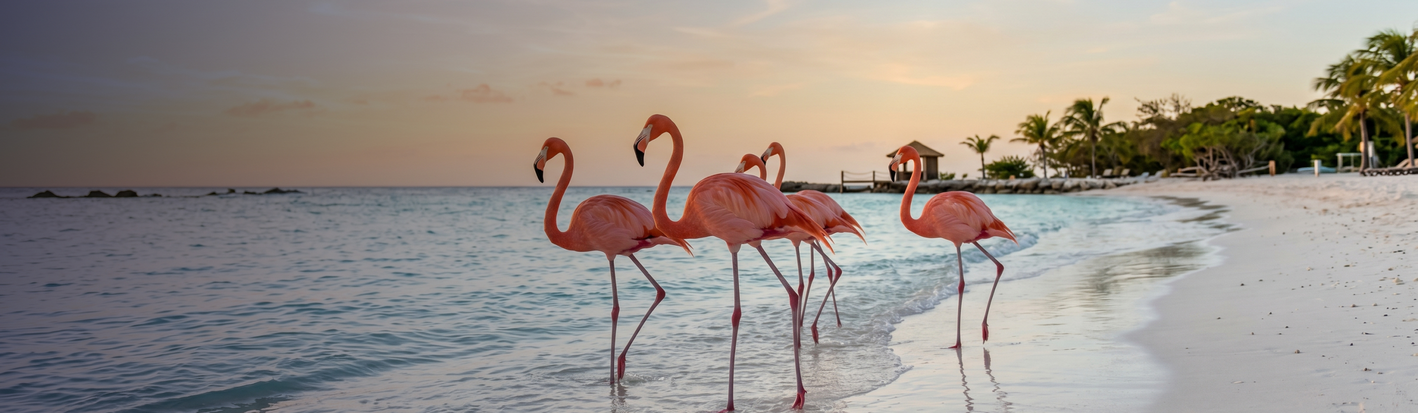 A photo of Oranjestad Aruba.